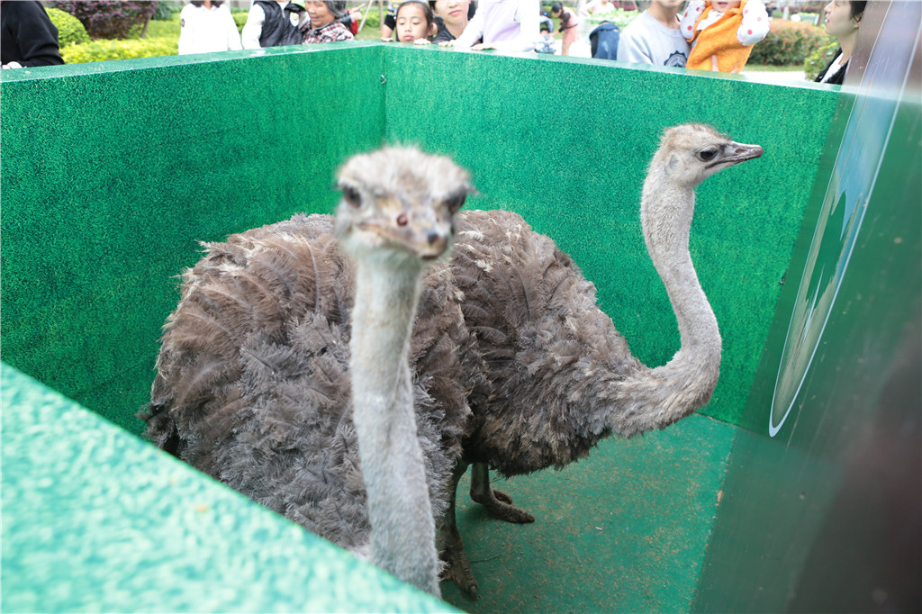 ϣwilliamhill(й)-ٷվ