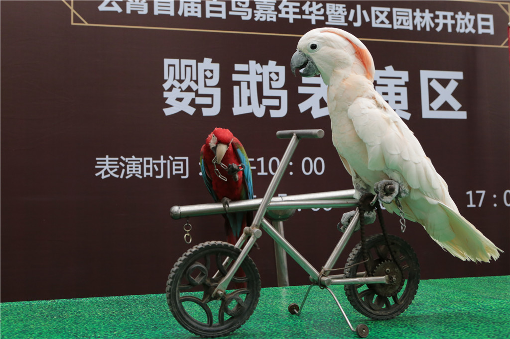 ϣwilliamhill(й)-ٷվ