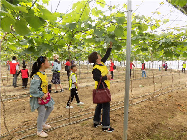 ϣwilliamhill(й)-ٷվ