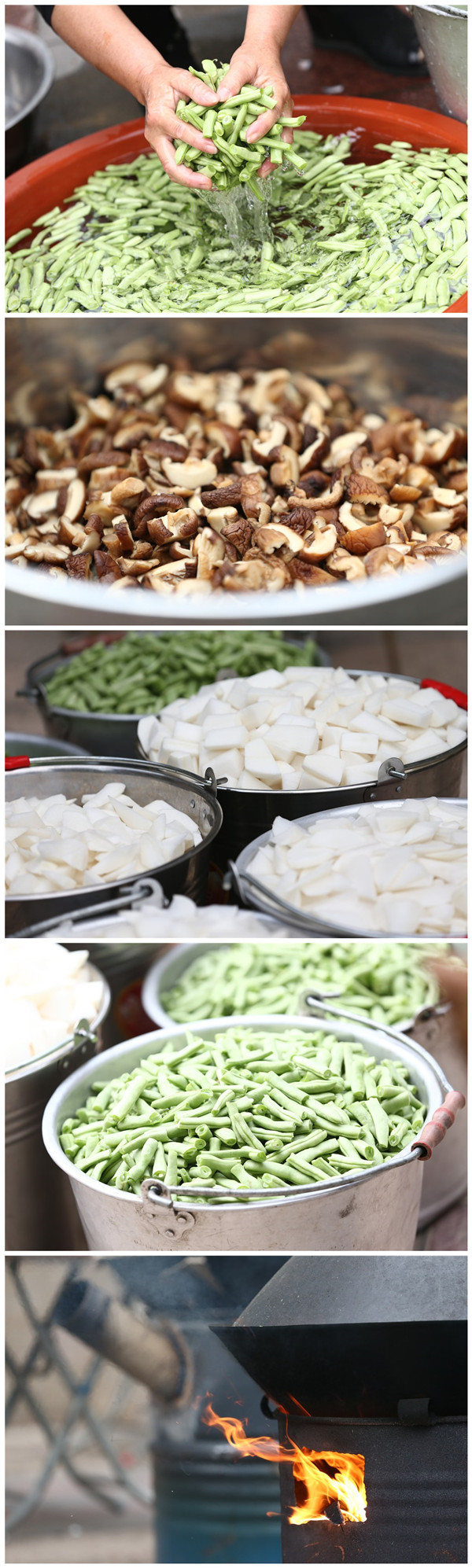 ϣwilliamhill(й)-ٷվ