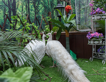 һȺٴ漣 Williamϣڡɽ԰2ڡ԰ֿ2Ӵ5400