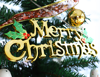 Williamϣڡɽ԰  Բʥ