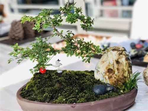 ϣwilliamhill(й)-ٷվ